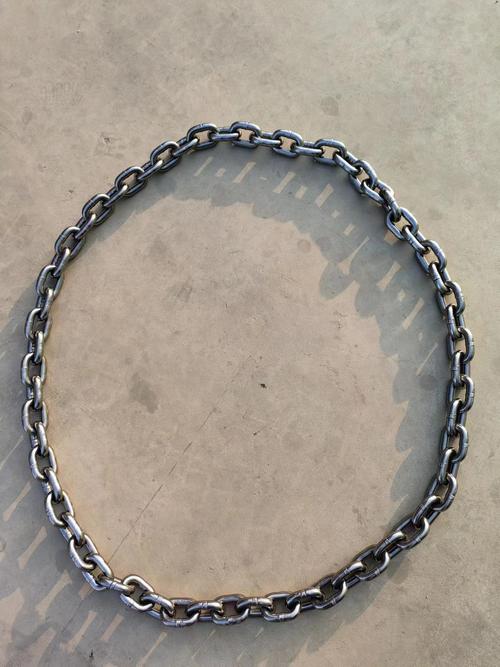 为你找到起重链条相关产品